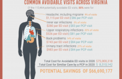 Potentially Avoidable ED Visits flyer
